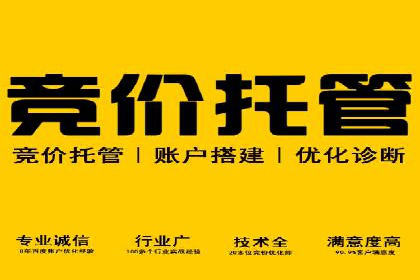 高效百度推广案例解析及优化策略